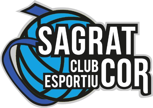 Logo Voleibol