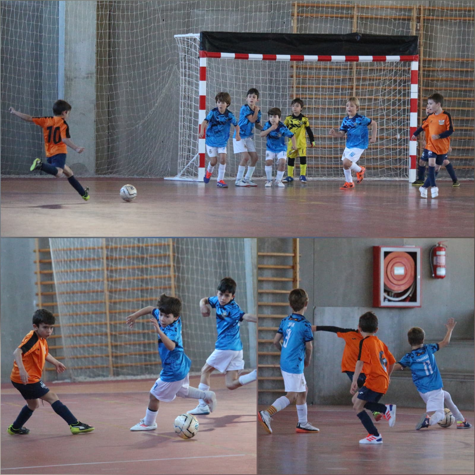 WhatsApp Image 2025-09-10 at 11.05.29