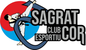 logo taekwondo