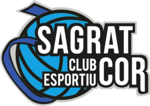 logo voleibol